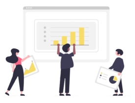 Software & Analysis